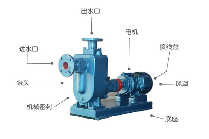 ZW不銹鋼自吸泵結(jié)構(gòu)圖